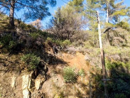 קרקע למגורים למכירה