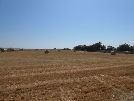 Οικιστικό Οικόπεδο προς πώληση