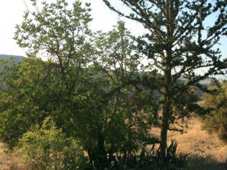 Terreno Residencial en venta