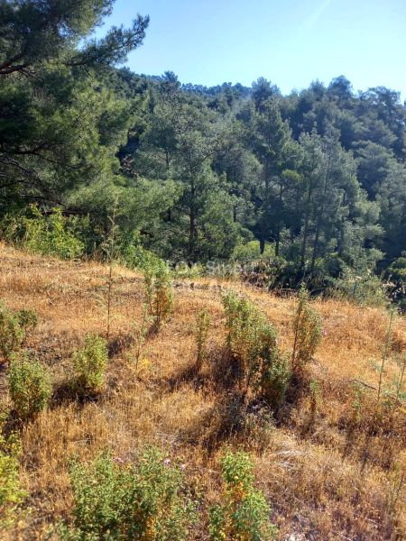 Terreno Residencial en venta