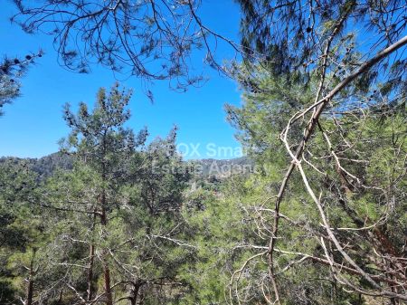 Жилой участок на продажу