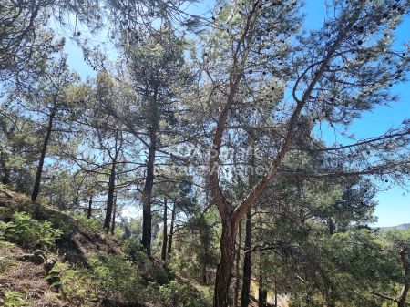 Жилой участок на продажу