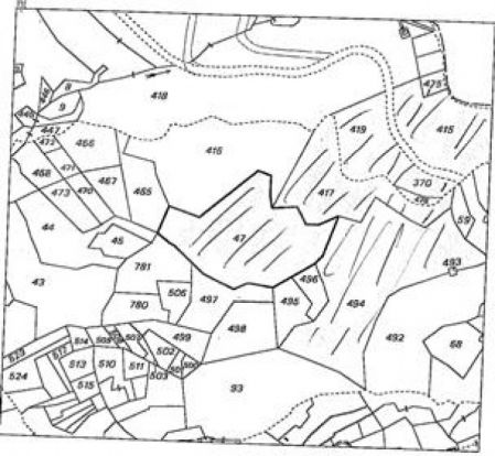 ניקוסיה, ניקוסיה