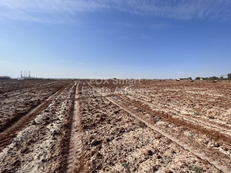 קרקע למגורים למכירה