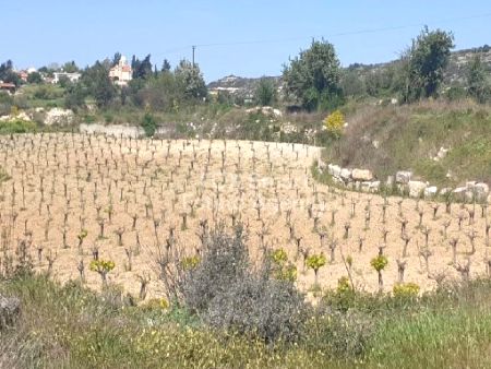 Thumbnail 2 Terreno En Venta Chipre