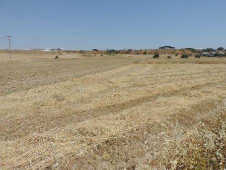 קרקע למגורים למכירה