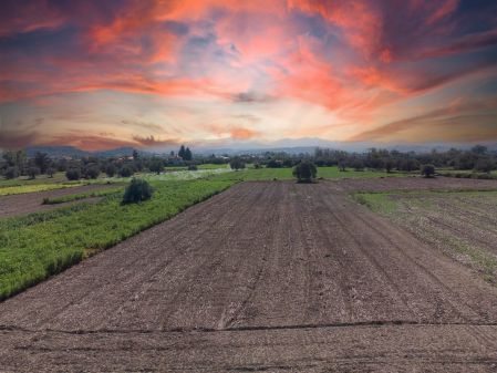 Residential Land for sale