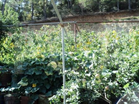 Residential Land for sale