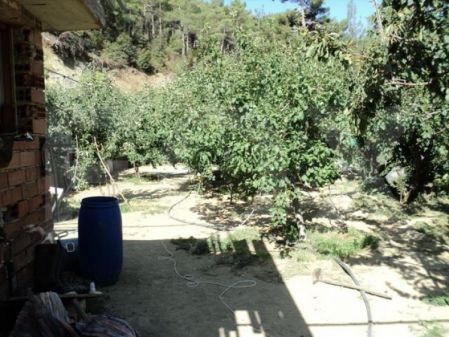 Residential Land for sale