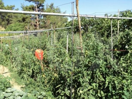 Residential Land for sale