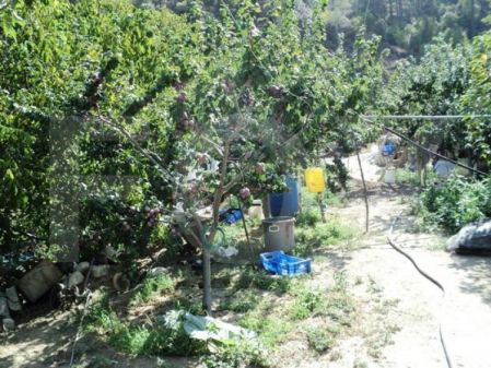 Residential Land for sale