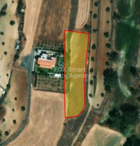 Τσέρι, Λευκωσία