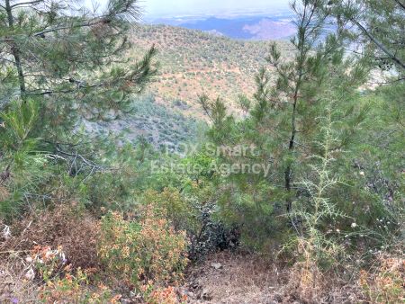 Οικιστικό Οικόπεδο προς πώληση
