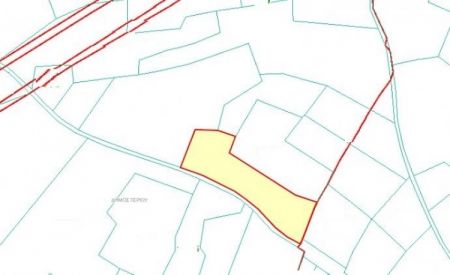 ג'רי, ניקוסיה