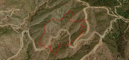 Ορά, Λάρνακα