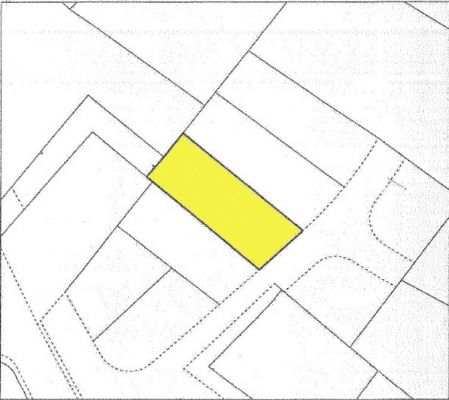 פרה, ניקוסיה