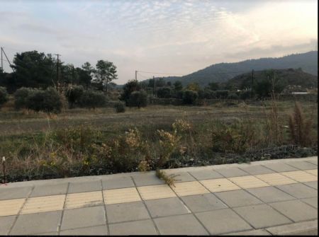 Σια, Λευκωσία