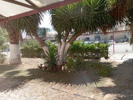 בניין למכירה