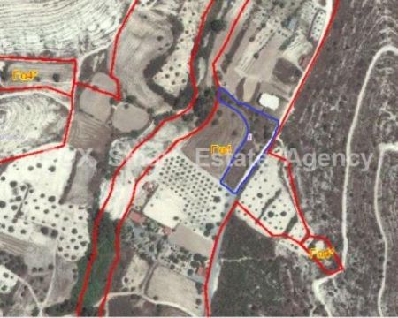 Сельские земли на продажу