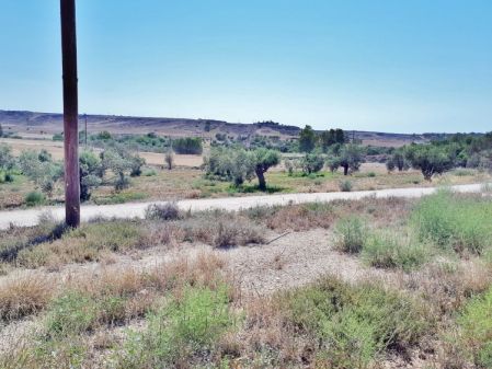 Agioi Trimithias, Nikozja