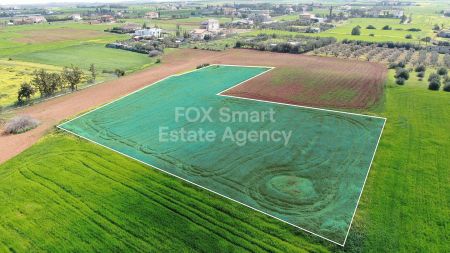 Trimithias Agioi, Nicosia