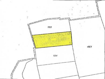 אגיווי טרימיתיאס, ניקוסיה