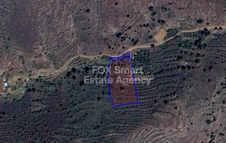 Agios Epifanios Oreinis, Nicosia