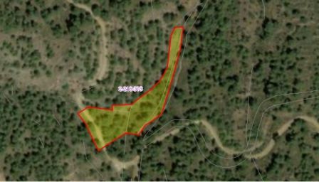 אגיוס אפיפניוס, ניקוסיה