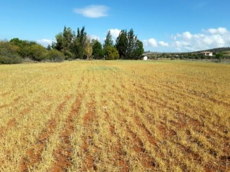 Terres rurales à vendre