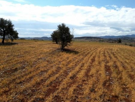 Terres rurales à vendre