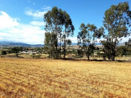 Terres rurales à vendre