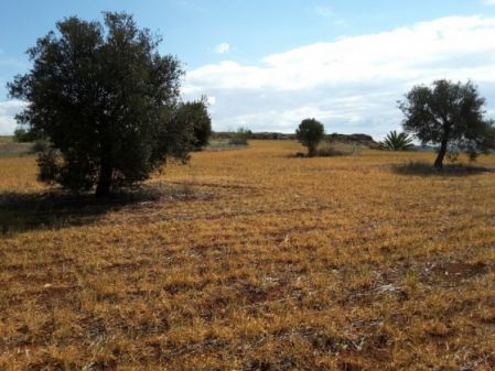 Terres rurales à vendre