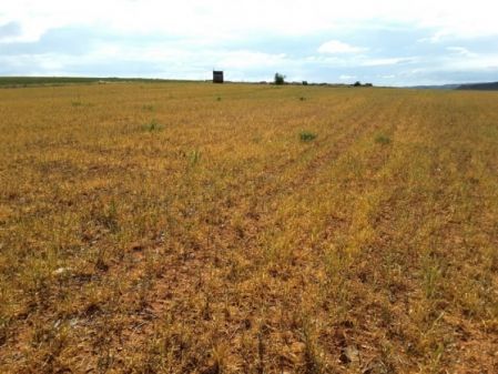 Terres rurales à vendre