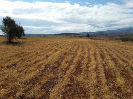 Terres rurales à vendre