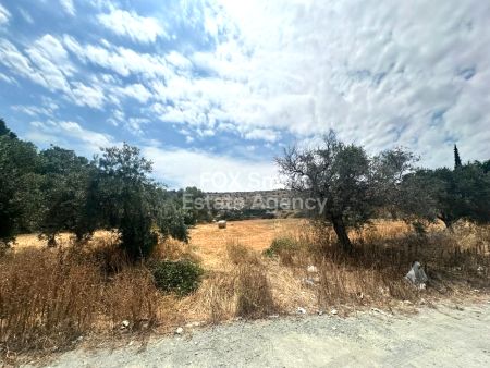 ארץ כפרית למכירה
