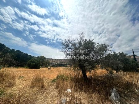 ארץ כפרית למכירה