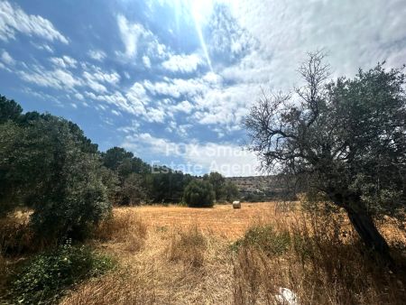 ארץ כפרית למכירה