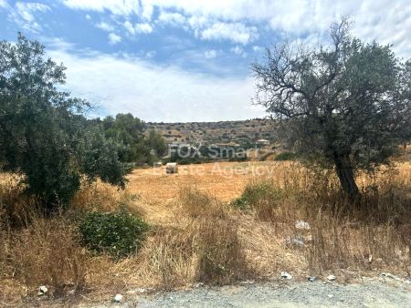 ארץ כפרית למכירה