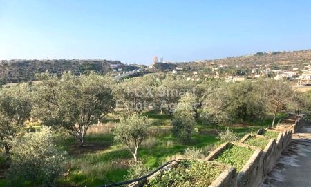 Сельские земли на продажу