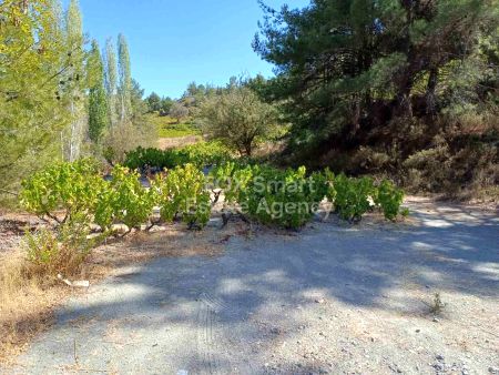 Thumbnail 1 Terreno En Venta Chipre