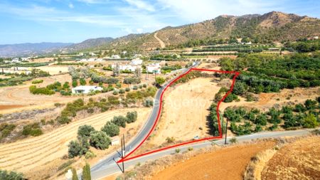 Сельские земли на продажу