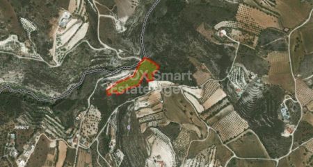 Άρμου, Πάφος