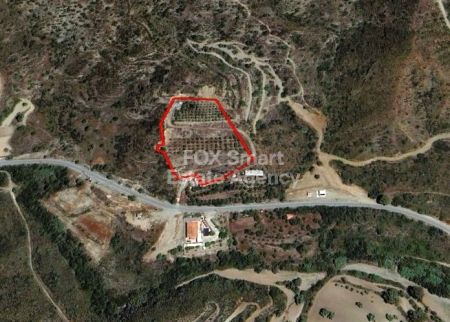 Асгата, Лимассол