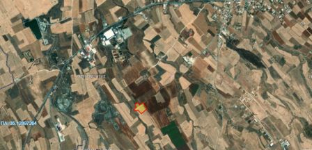 Astromeritis, Nicosia