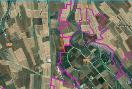 Astromeritis, Nicosia