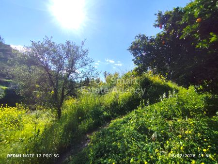 Terres rurales à vendre
