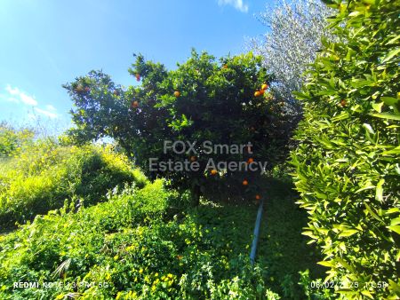 Terres rurales à vendre