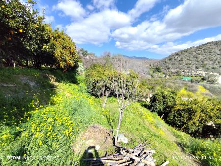 Terres rurales à vendre