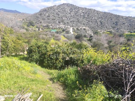 Terres rurales à vendre
