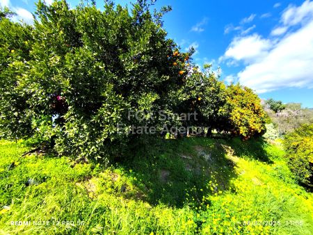 Terres rurales à vendre